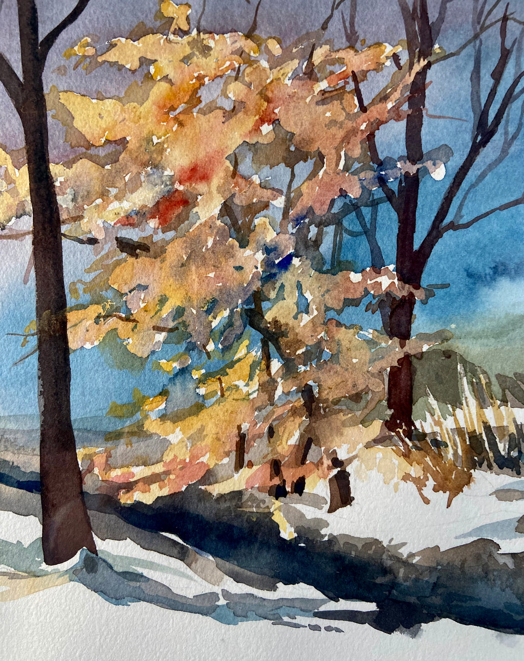 "Winter Beech" by Shelley Picker