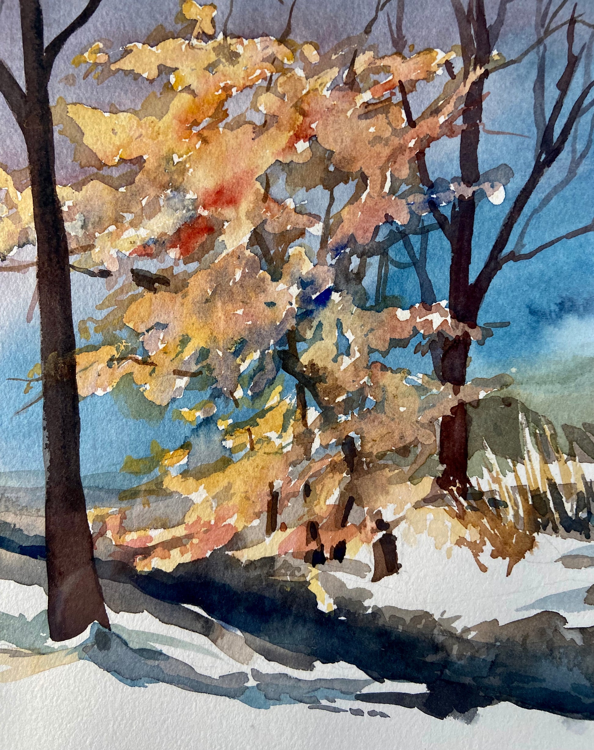 "Winter Beech" by Shelley Picker