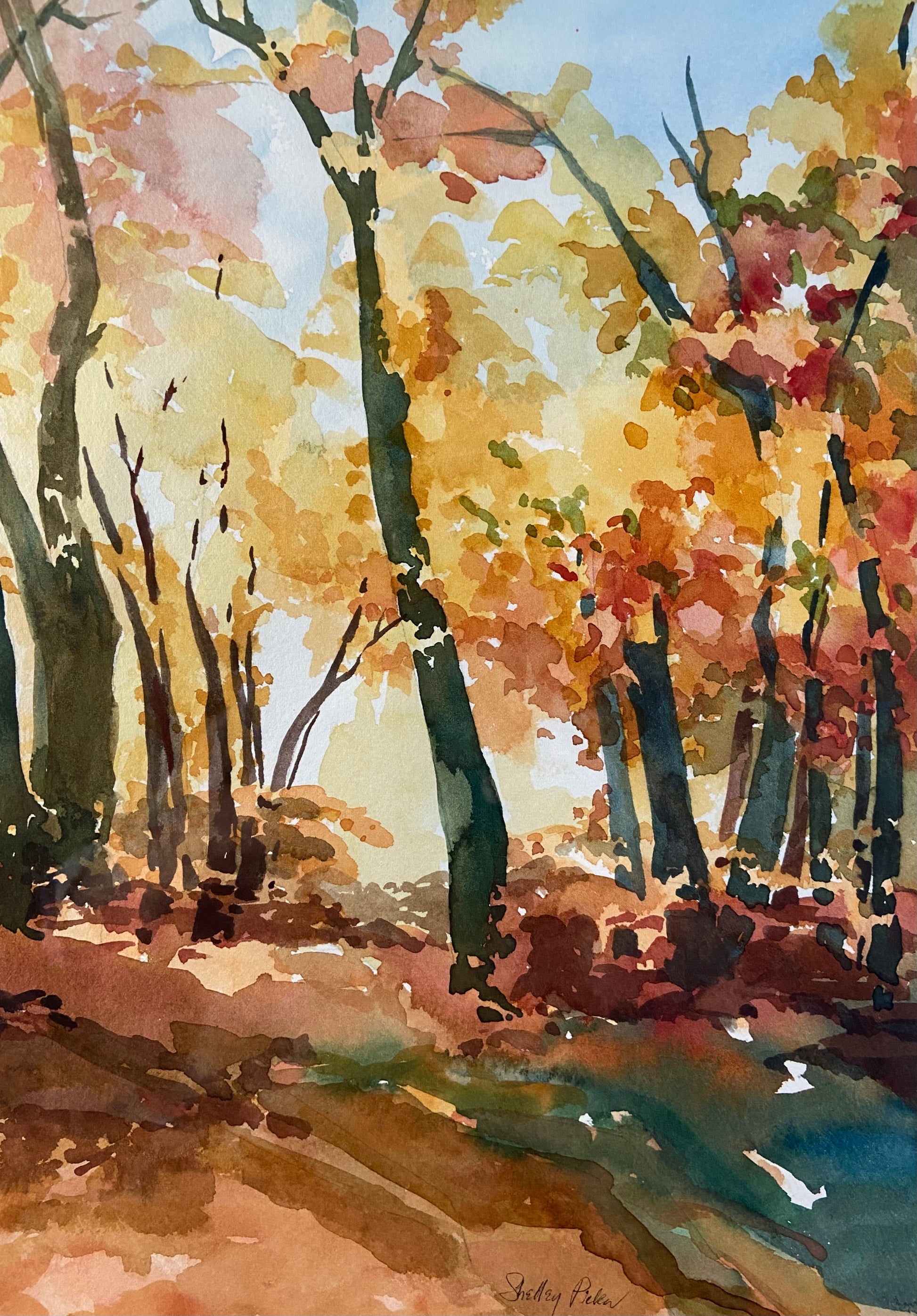 "Fall Forest" by Shelley Picker