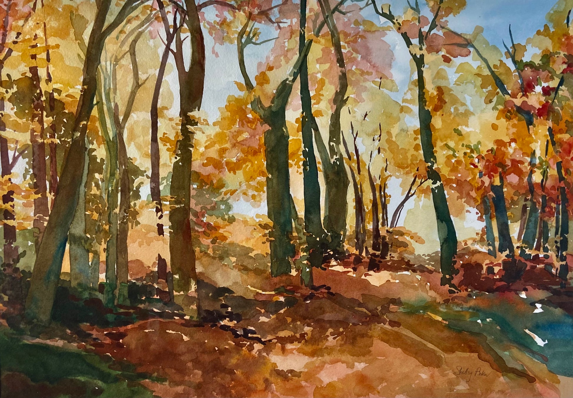 "Fall Forest" by Shelley Picker