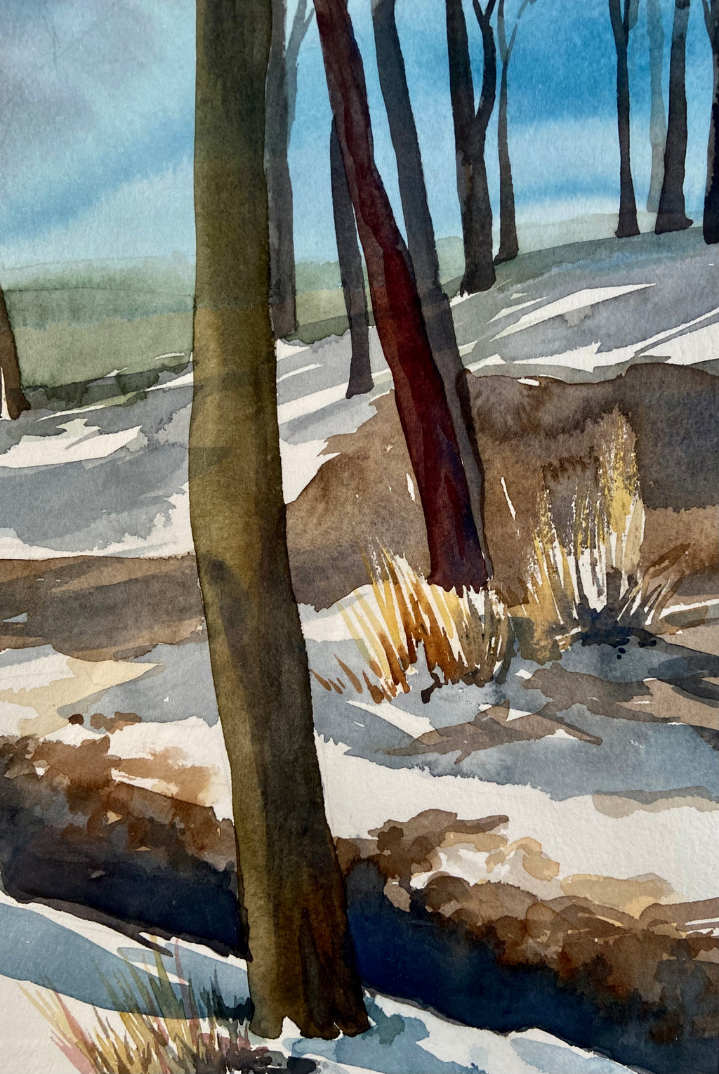 "Winter Beech" by Shelley Picker