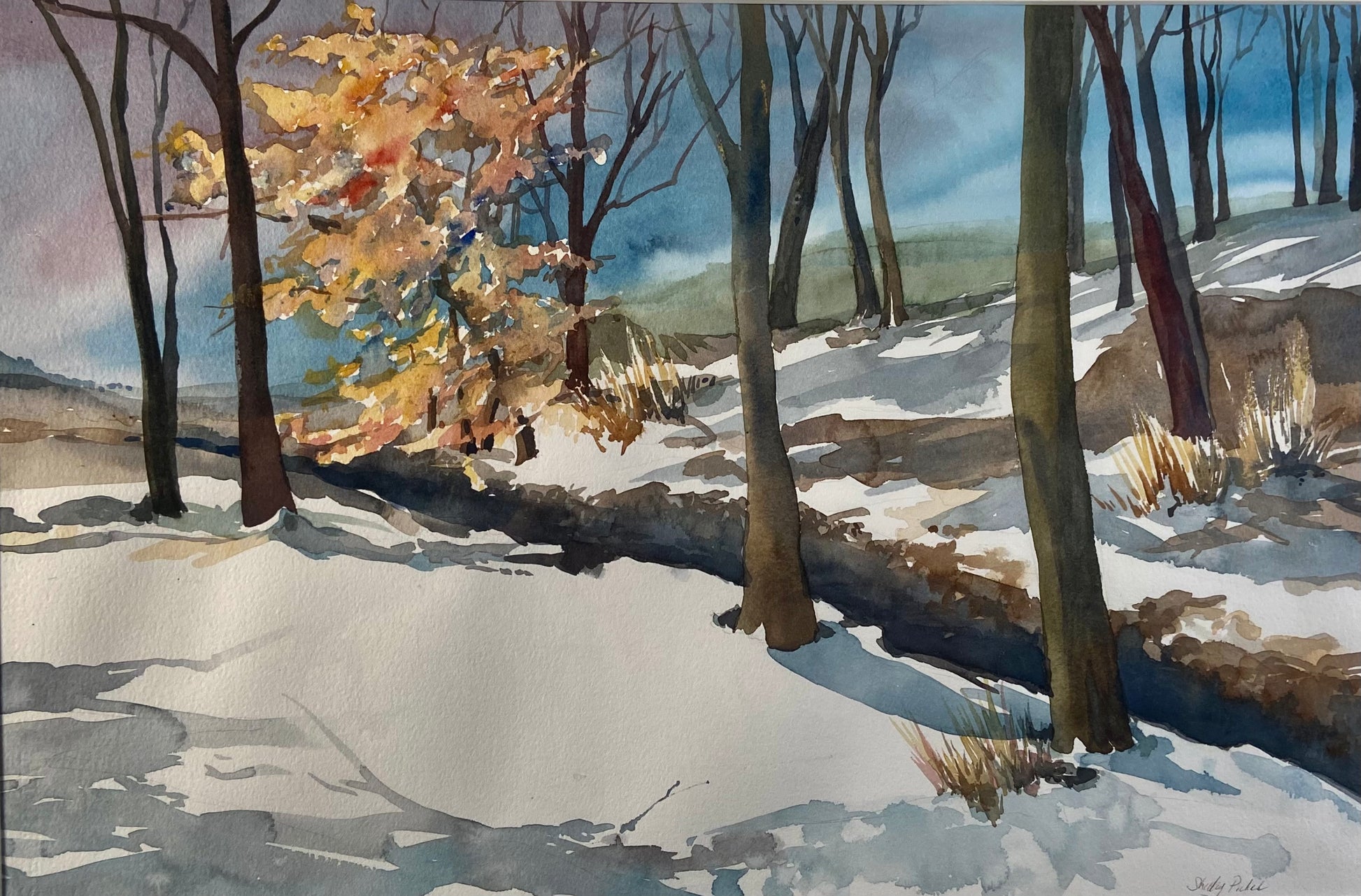 "Winter Beech" by Shelley Picker