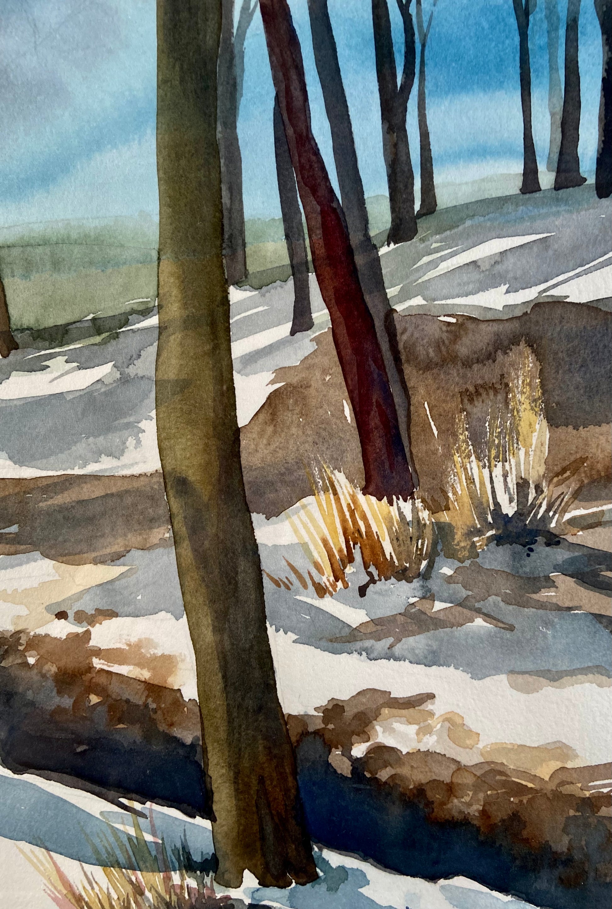 "Winter Beech" by Shelley Picker